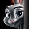 shalni_core