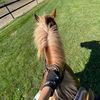 hanna_eq11
