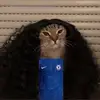 gatito.con.modale05