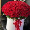 flora_kb9