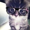 sofi_127266