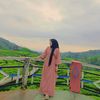 spillbyfirda_03