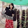 cherry.oo3605