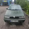 soltykelizaskodziara