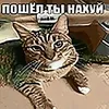pediks_prodackshe