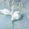 _crystalixx_