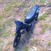 fidz.24434