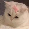 vi_vuong14