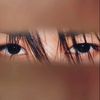 mongoose_96