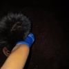kay_85410