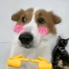 kactao