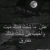 abdalla.elkashory6