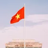 delphiniumnguyen