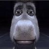 sssstttallkeerrllprofil