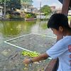 prite_diwa555