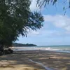 tran.dinh397