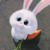 iehdksjhdg