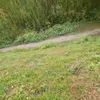 lenlop28