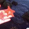 🦀