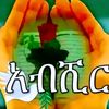 fathee.alqua