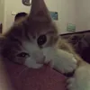 xuiuoii_212