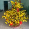qun.huynh469