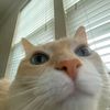ffibbfwhfc4
