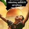 rajfa.budimlic2