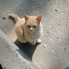 ahmedibrahim64675