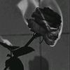 vanessa_8roblox