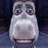 l_anedeshrek