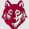 black.wolf7893