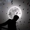 itx.adil7371
