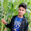 user342581254