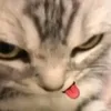 anhnhacemm