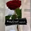 bntlhwija125