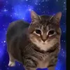 ui.iae.cat