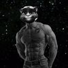 ttaf.a.tom.cosmo