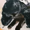 segma_un