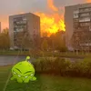 tobsboom