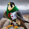 alhassan.bardali