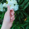 user218820186