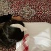 ﴿ وَاغْفِرْ لِأَخِي ﴾