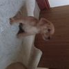 melissahickey340