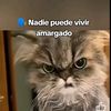 adriana85222