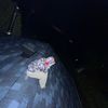 jxst_catalina2