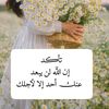 shemoo1281
