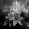 moon_cry_had