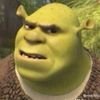 shrekismypookie7