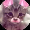 elina_230t